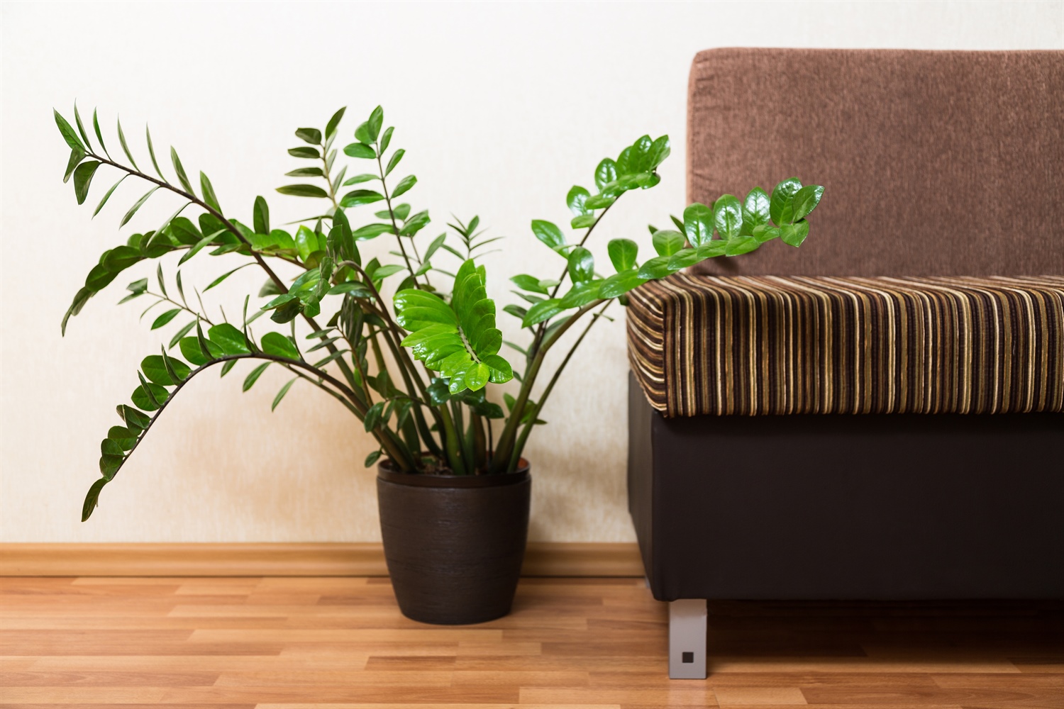 Oak Floor Distributors